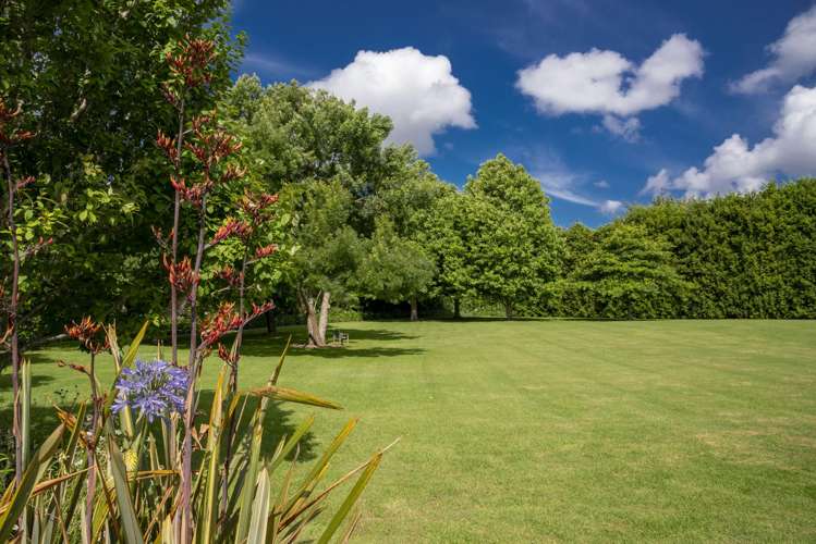 102 Blackbridge Road Dairy Flat_10