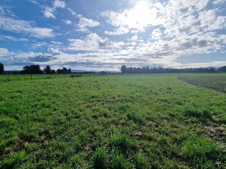 189 Homeview Road Cheviot_11