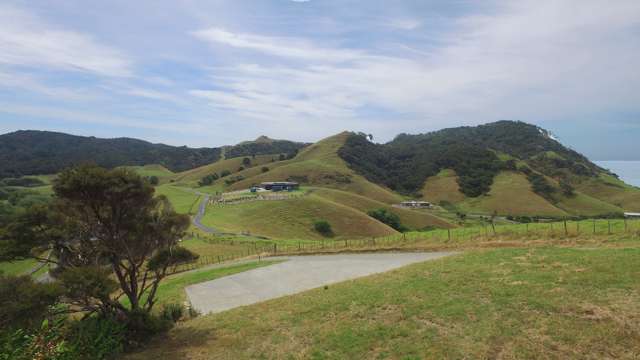 35d Taranga View Road Mangawhai Heads_3