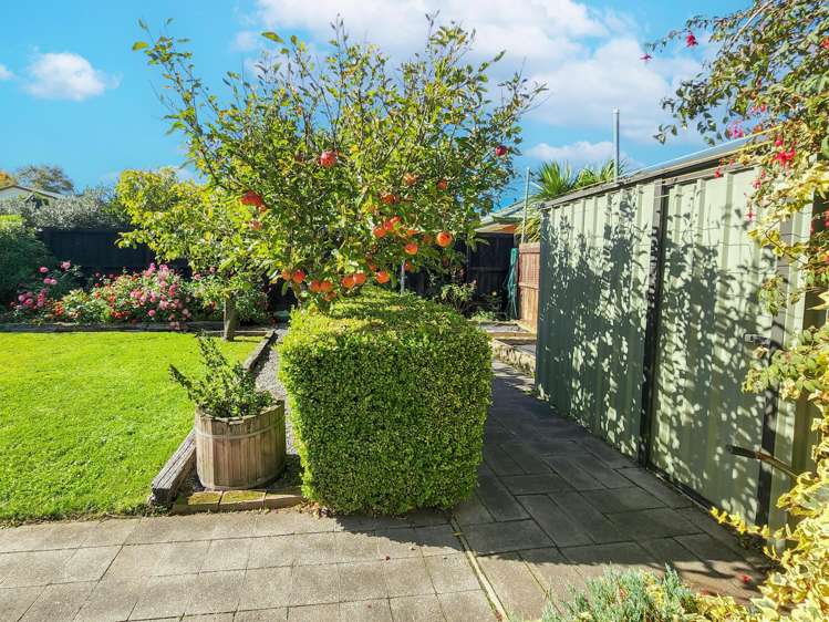 11c Cam Place Bishopdale_13