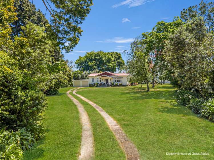 30 Colebrook Road Edgecumbe_32