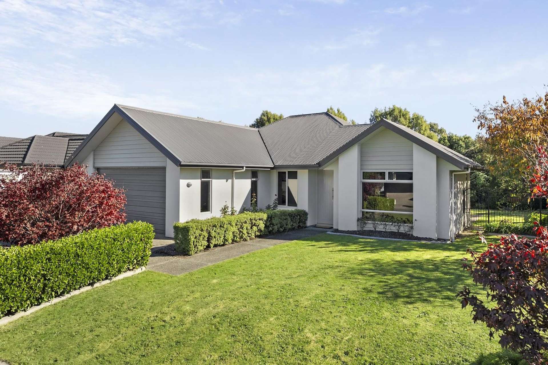 12 Curtis Street Stoke_0