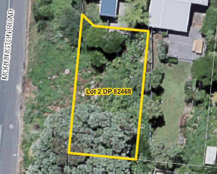 19 Mornington Road Brooklyn_11