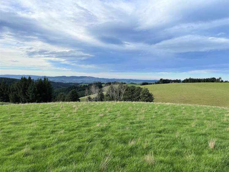 318 Hillend Road Balclutha_3