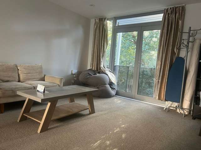 44H Ngaoho Place Parnell_4