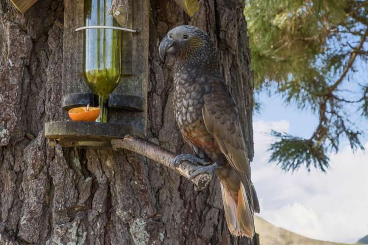 56D Mataura Road Waihi_22