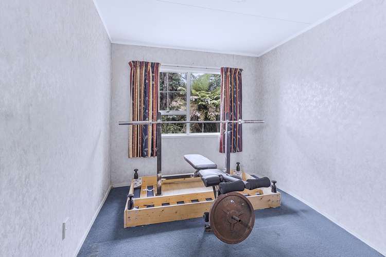 54b Alison Street Hamilton Lake_12