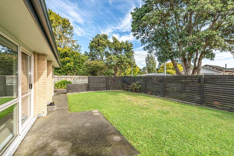 3 Plunket Street Durie Hill_22