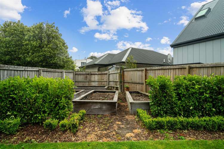 11 Meredith Street Addington_26