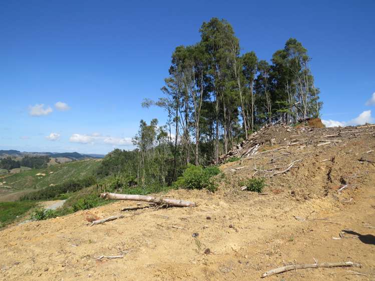 Waitomo Valley Road Otorohanga_18
