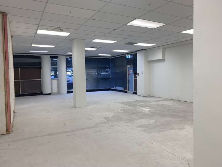 65 Clyde Road Browns Bay_11