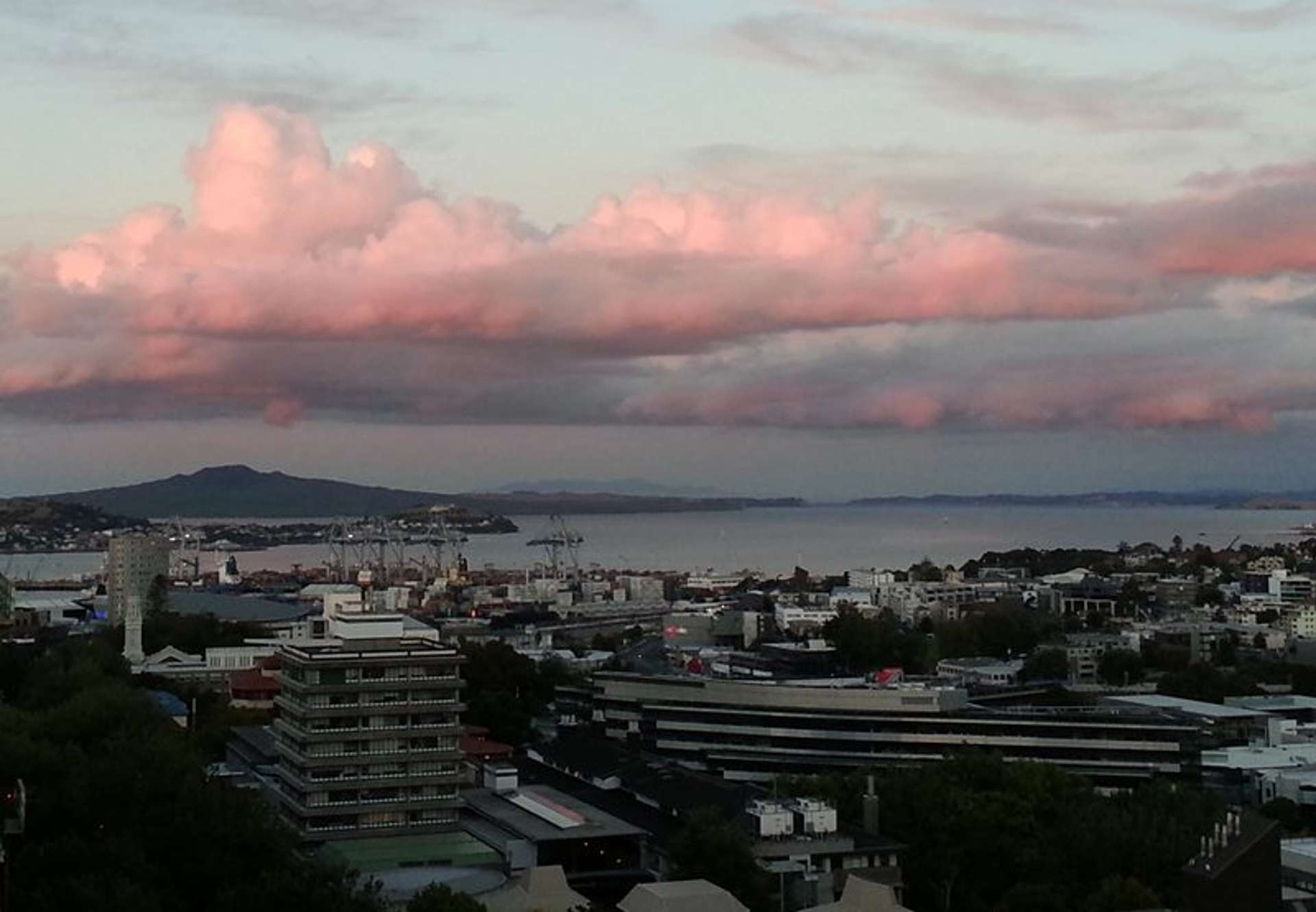 1301/37 Symonds Street Grafton_0