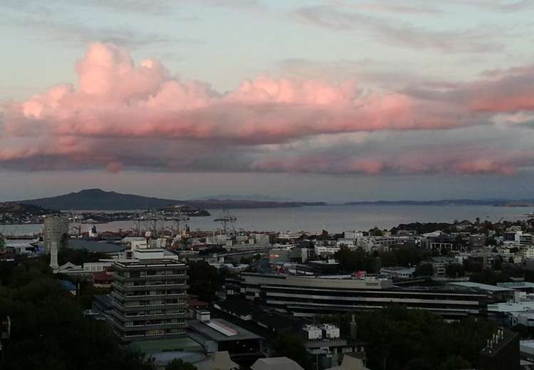 1301/37 Symonds Street Grafton_0