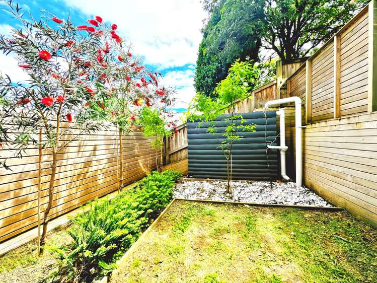 44D Cyclarama Crescent Massey_7