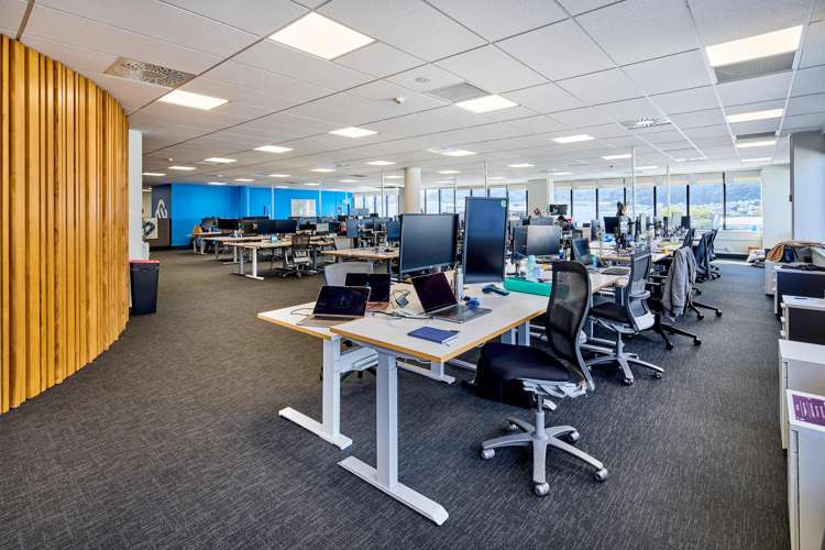 275 Cuba Street Te Aro_26