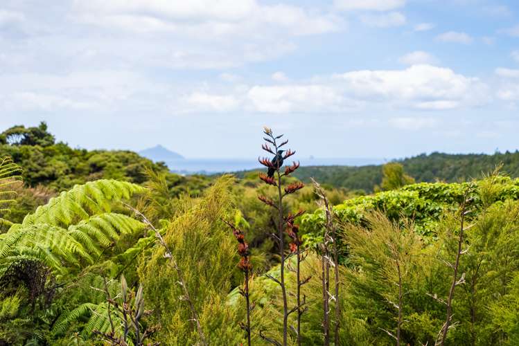 43 Palmer Road Waipu_30