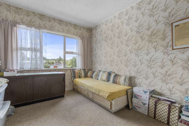 18 Penney Avenue Mount Roskill_9