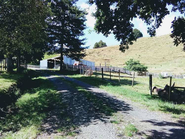 453 Kururau Road Taumarunui_13