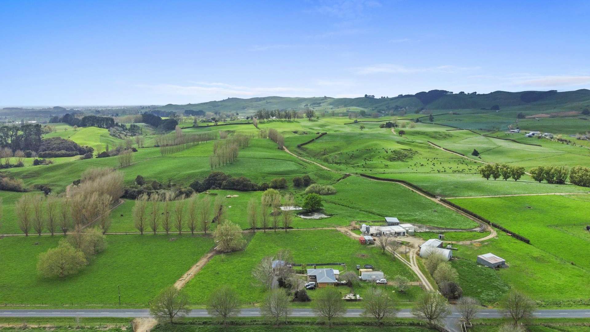 63 Harbottle Road Morrinsville_0