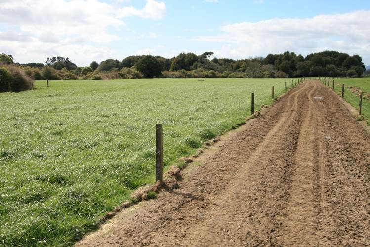 2403 Mountain Road Tariki_26