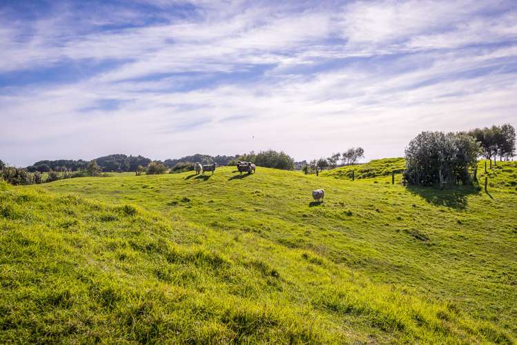 21 Sandown Road Te Horo Beach_28