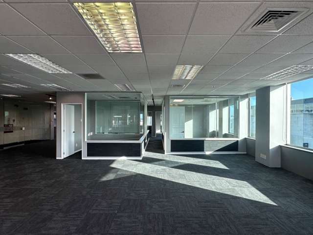 18 Normanby Road Mt Eden_1