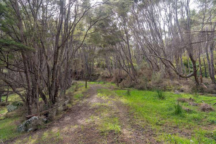 425n Boat Harbour Road Whenuakite_40