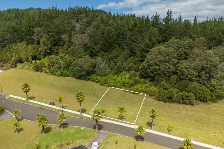 61 Pinehurst Drive Hikuai_6
