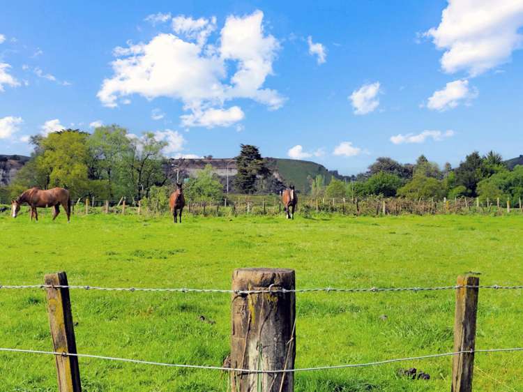 28 Kakariki Street Mangaweka_4