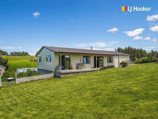 163 Akatore Road Brighton_1