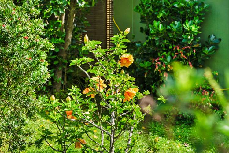 170 Wonderview Lane Hakaru_26