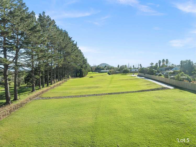 Address withheld Ruatangata West_14