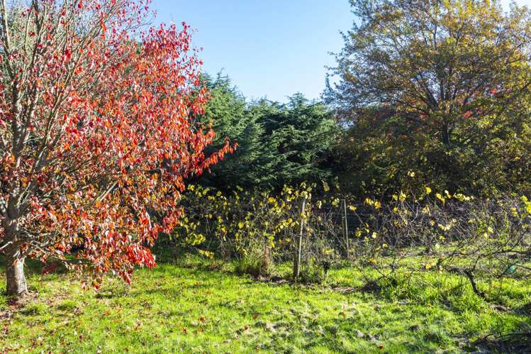 336 Halkett Road West Melton_25