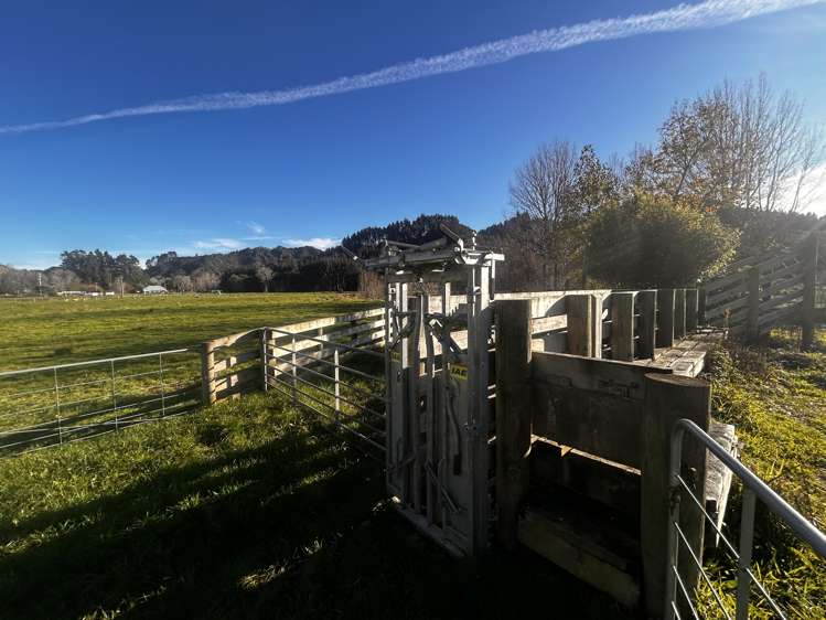 1724 State Highway 3 Uruti_6