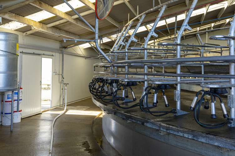 368 Crows Road Coldstream_16