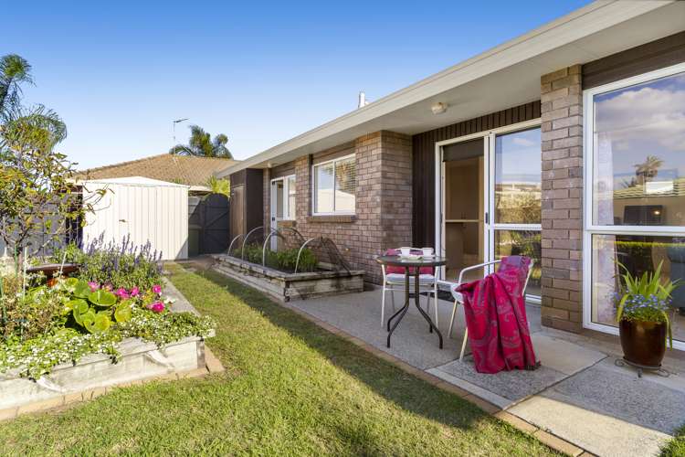 10b Boronia Place Mount Maunganui_10