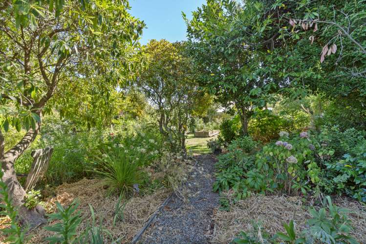 62 Cole Street Masterton_18