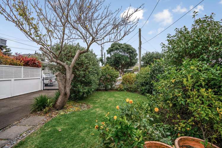 411 Muritai Road Eastbourne_21