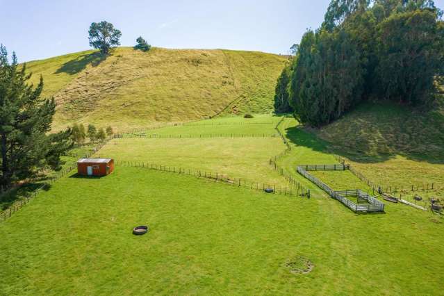 302 Whangamata Road Kinloch_4