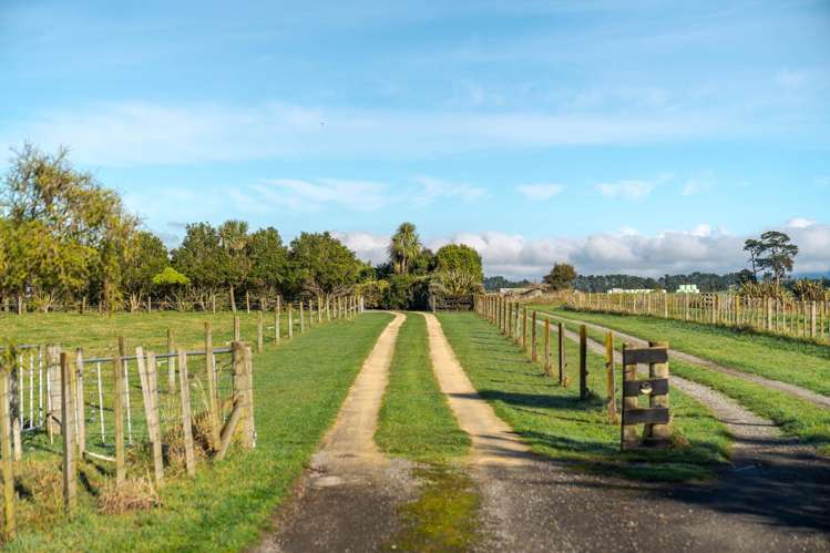 145B Norfolk Road Carterton_33