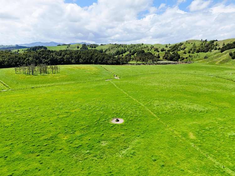 Lot 3 Pukehuia Road Arapohue_15