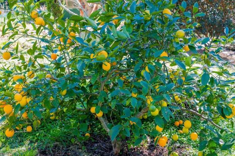 73 Aston Road Waikanae_25