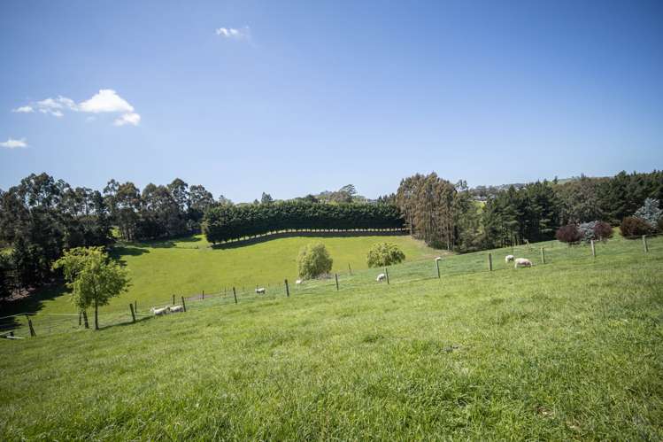 53 Maudes Road Deborah_11