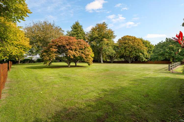 1/59c Western Ave Omokoroa Beach_15