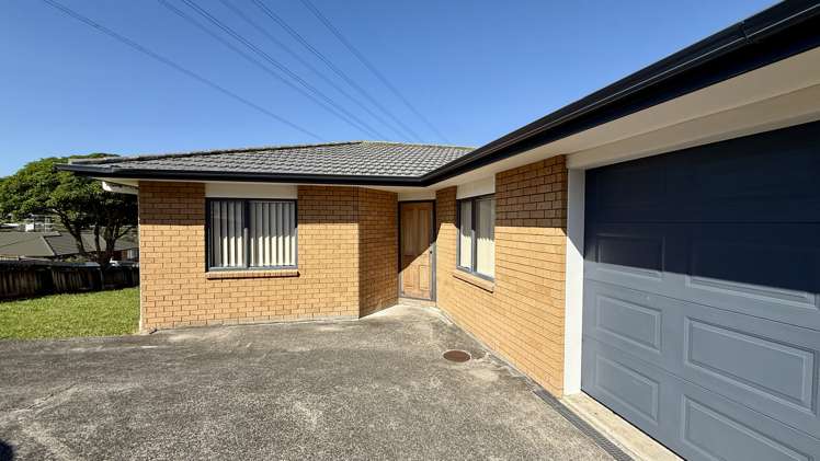 10 Exotic Place Massey_12