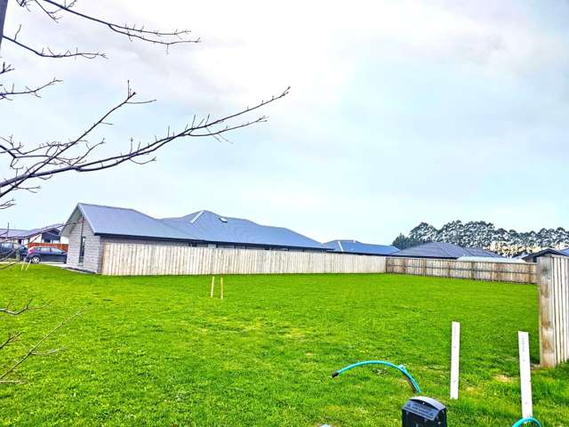 22 Rosalind Avenue Darfield_4
