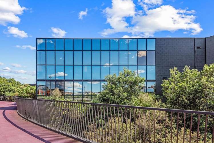17 South Street Eden Terrace_12