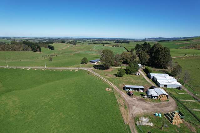 11 Domain Road and 2308 Glencoe Highway Hedgehope_1