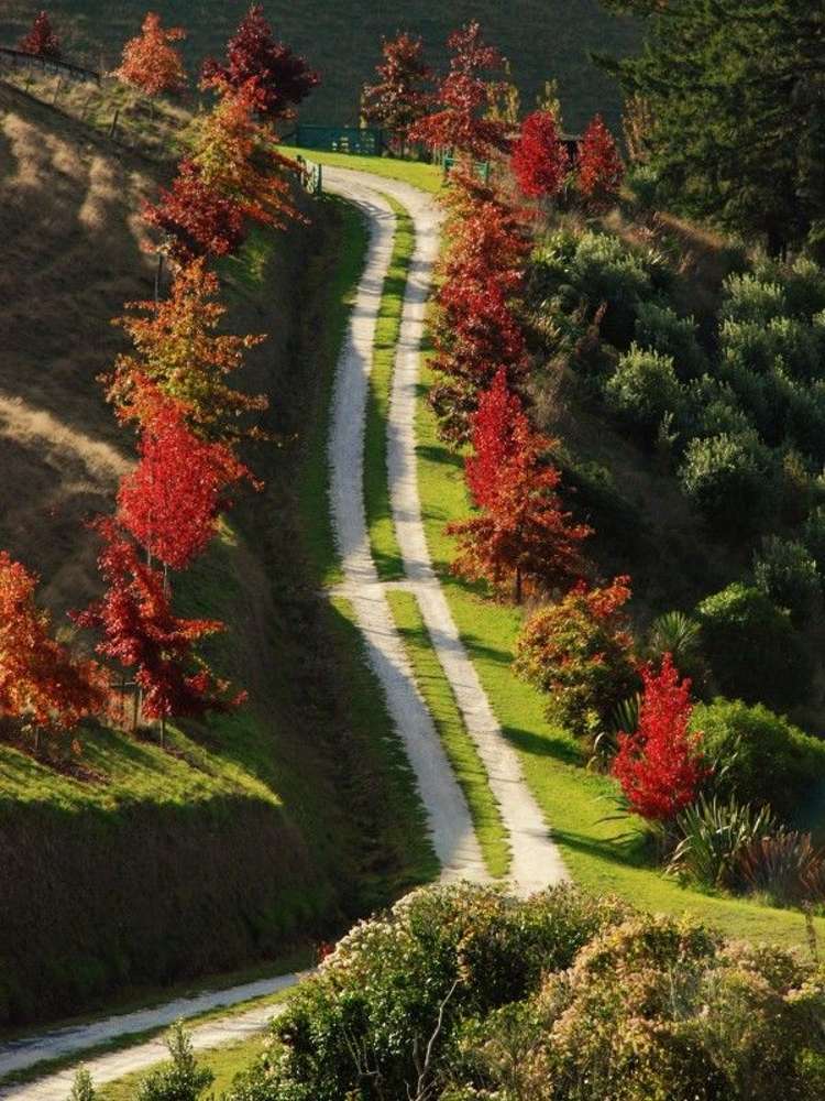 680 Neudorf Road Upper Moutere_27