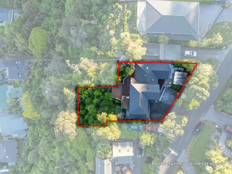 45 Pohutukawa Avenue Shelly Park_28